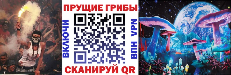 цена   Катав-Ивановск  Псилоцибиновые грибы мицелий 
